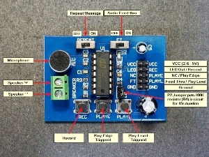 5503-4962